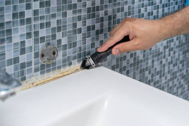 San Gabriel, CA Mold Removal Company